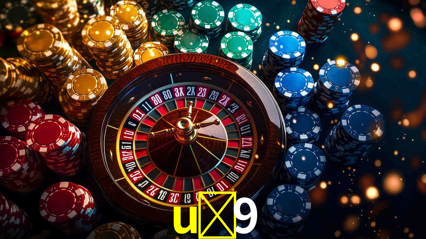 Premium Interface u-9